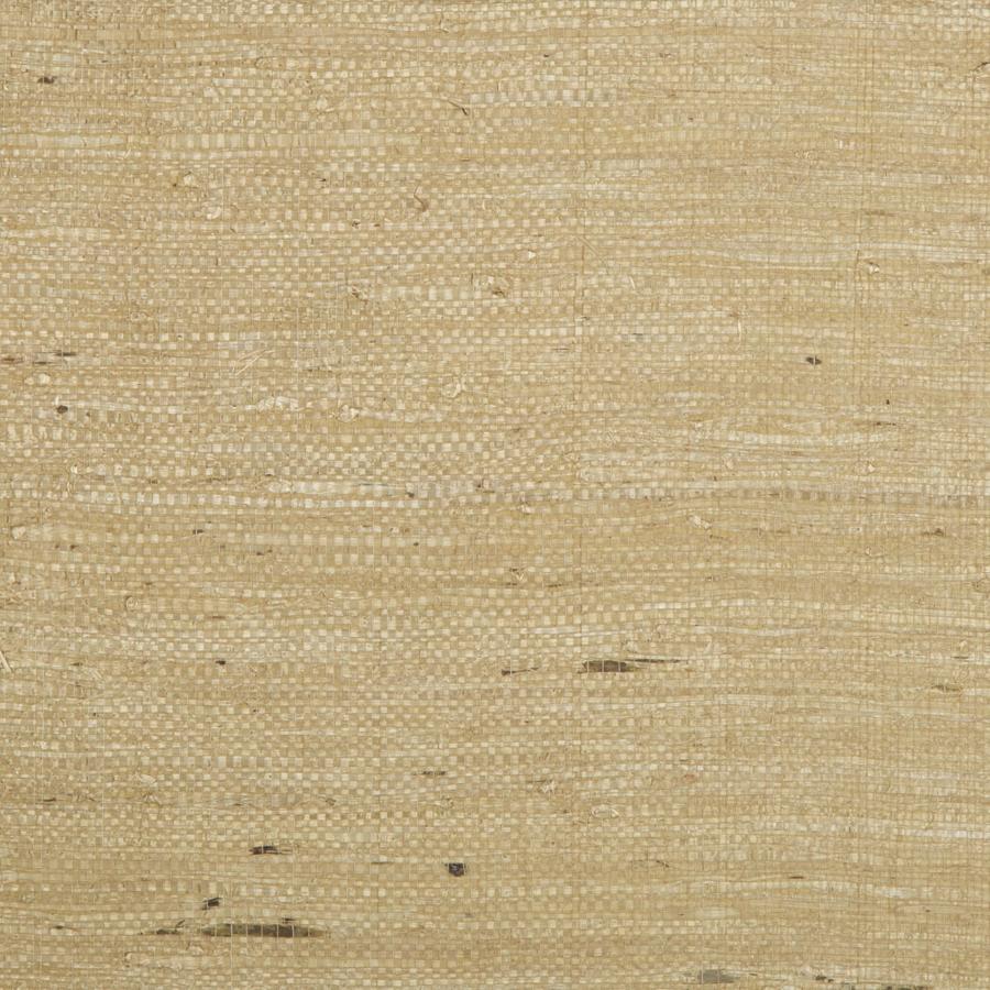 Search P8015146.61 Kochi Tan by Brunschwig Fils
