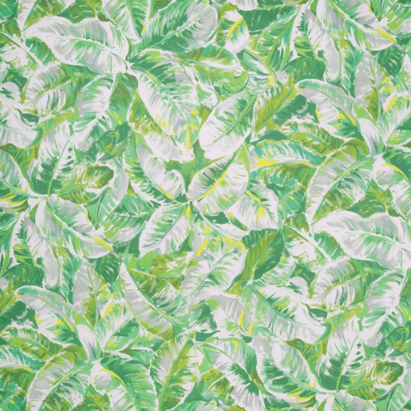 Purchase P8022109.3.0 Diani, Green Leaf - Brunschwig & Fils Wallpaper
