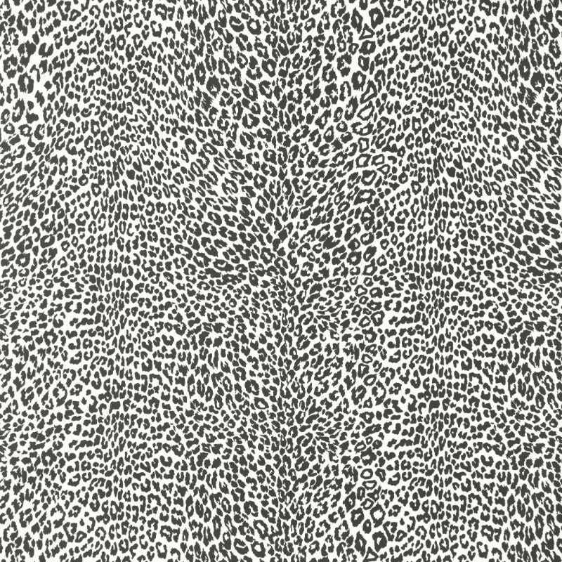 Purchase P8023107.8.0 Petit Leopard, Black Animals - Brunschwig & Fils Wallpaper