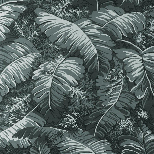 Purchase P8023109.21.0 Feuilles De Bananier, Grey Leaf - Brunschwig & Fils Wallpaper