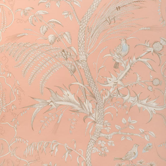 Purchase P8024101-1216 Bird And Thistle Ii, Peach Toile - Brunschwig & Fils Wallpaper - P8024101.1216.0