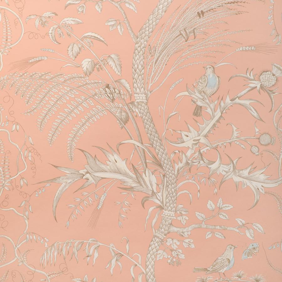Sample - P8024101-1216 | Bird And Thistle Ii, Peach Toile - Brunschwig & Fils Wallpaper - P8024101.1216.0