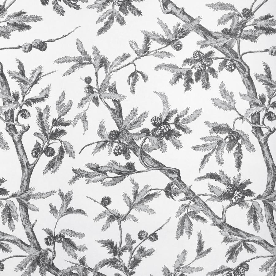 Purchase P8025100-116 Branches De Pin Wc, Grey Botanical - Brunschwig & Fils Wallpaper - P8025100.116.0
