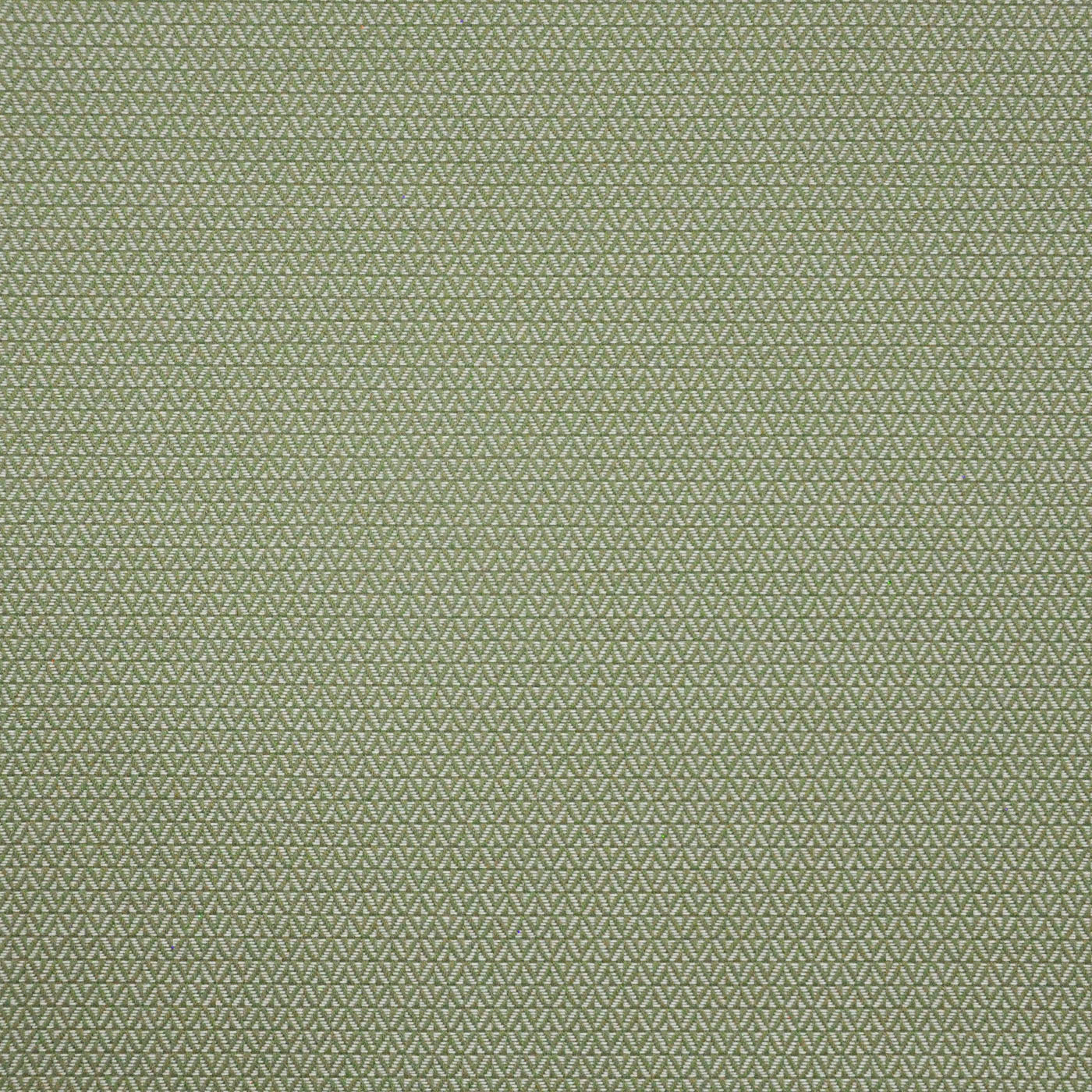 Purchase Maxwell Fabric - Putney, # 646 Basil