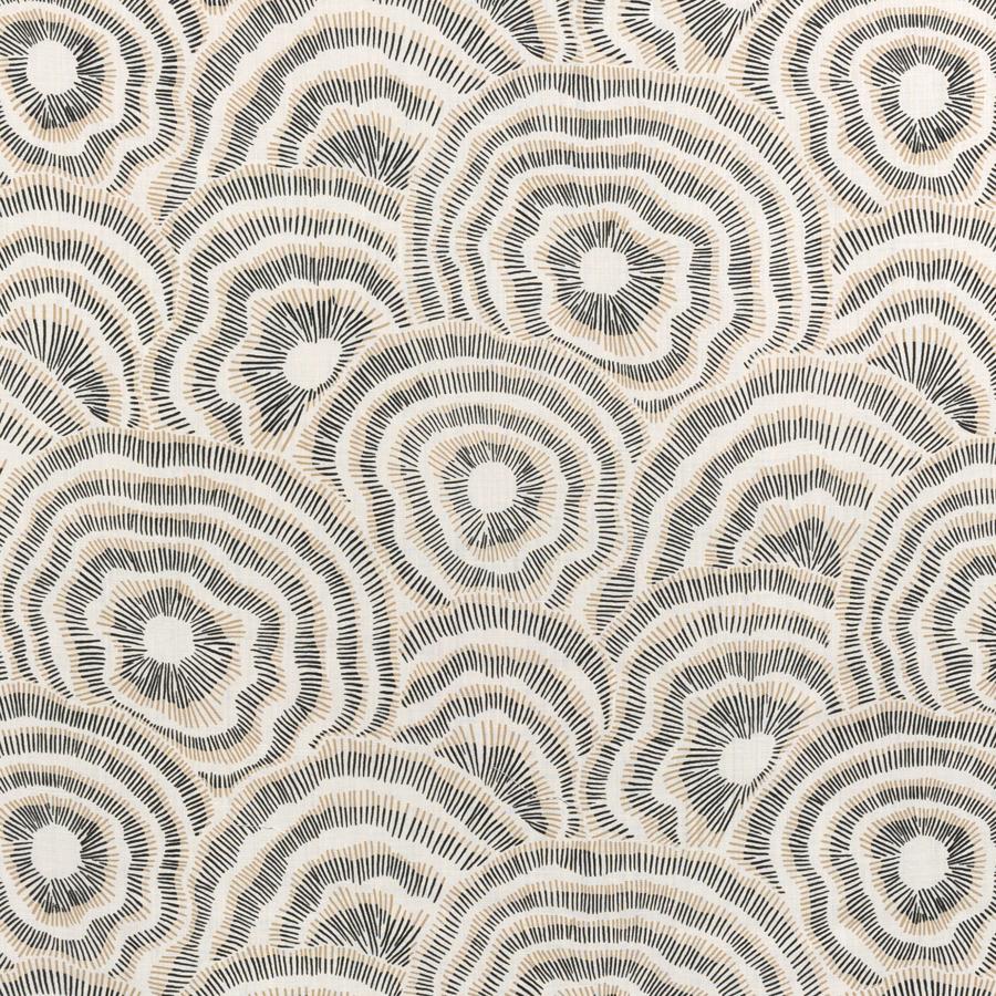Purchase Panache.816.0 Panache, Corey Damen Jenkins Trad Nouveau Ii - Kravet Couture Fabric