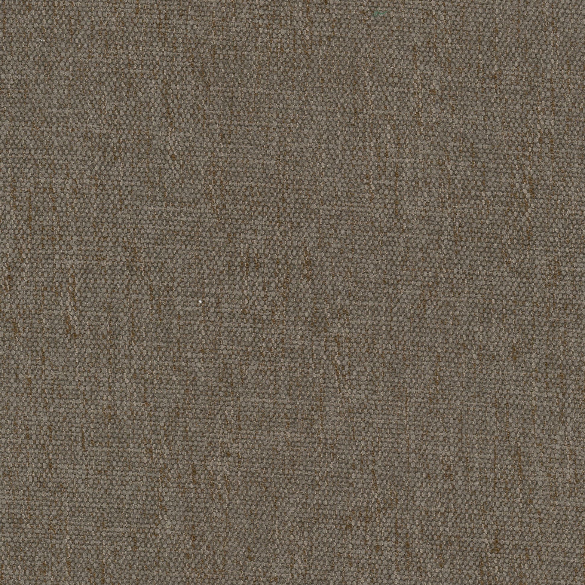 Purchase Stout Fabric Item Perpetual 1 Cedar