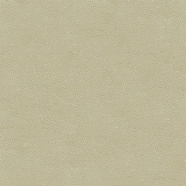 Sample - Pietra.1111.0 | Kravet Design,  - Kravet Design Fabric