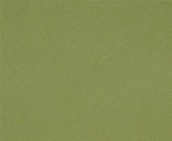 Persuasion | # 011 Citronella - Maxwell Fabric