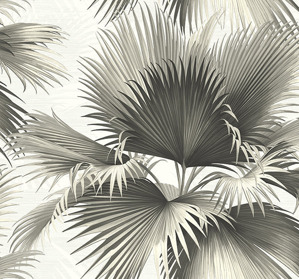 Purchase PS40100 Palm Springs, Endless Summer Black Palm by Kenneth James Wallpaper