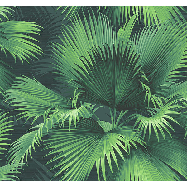 Purchase PS40104 Palm Springs, Endless Summer Dark Green Palm by Kenneth James Wallpaper