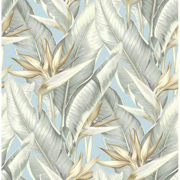 Purchase PS40202 Palm Springs, Arcadia Blueberry Banana Leaf by Kenneth James Wallpaper