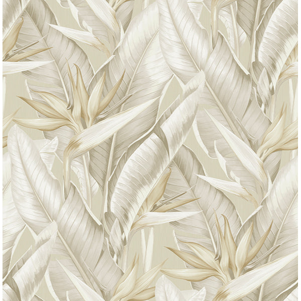 Purchase PS40205 Palm Springs, Arcadia Beige Banana Leaf by Kenneth James Wallpaper