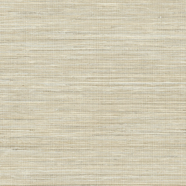 Purchase PS41507 Palm Springs, Baja Grass Brown Texture by Kenneth James Wallpaper