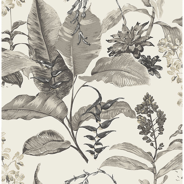 Purchase PS41800 Palm Springs, Maui White Botanical by Kenneth James Wallpaper