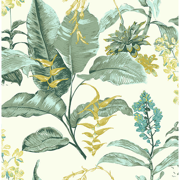 Purchase PS41804 Palm Springs, Maui Green Botanical by Kenneth James Wallpaper
