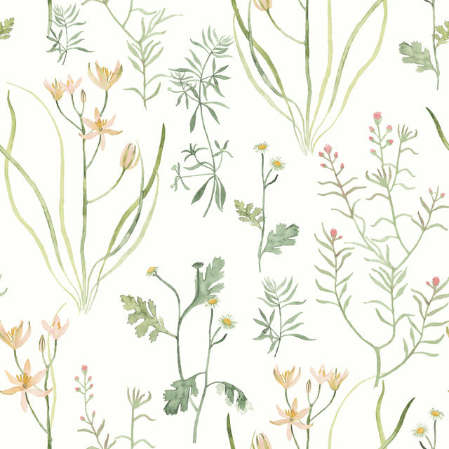 Purchase Psw1519Rl | Watercolor Botanicals, Alpine Botanical Peel & Stick - York Wallpaper