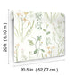 Purchase Psw1519Rl | Watercolor Botanicals, Alpine Botanical Peel & Stick - York Wallpaper