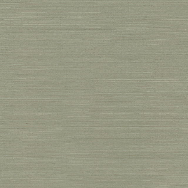 Purchase Psw1594Rl | Natural Sisal Pine Peel & Stick Grasscloth - York Wallpaper