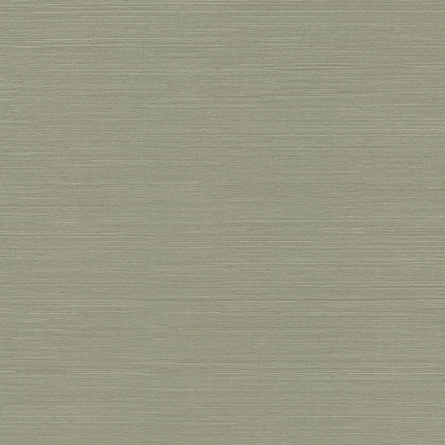 Purchase Psw1594Rl | Natural Sisal Pine Peel & Stick Grasscloth - York Wallpaper