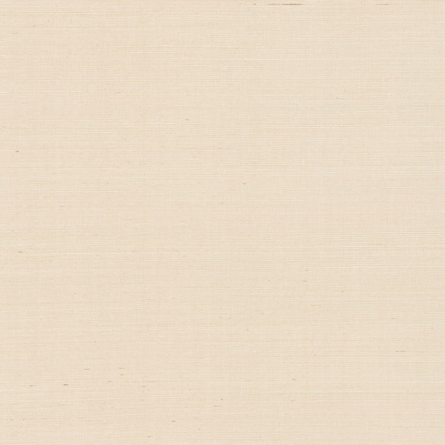 Purchase Psw1596Rl | Natural Sisal Plaster Peel & Stick Grasscloth - York Wallpaper