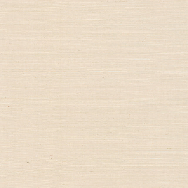 Purchase Psw1596Rl | Natural Sisal Plaster Peel & Stick Grasscloth - York Wallpaper