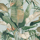 Purchase Psw1613Rl | Simply Candice, Tropical Cabana Spa Peel & Stick - Candice Olson Wallpaper