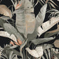 Purchase Psw1614Rl | Simply Candice, Tropical Cabana Black Peel & Stick - Candice Olson Wallpaper