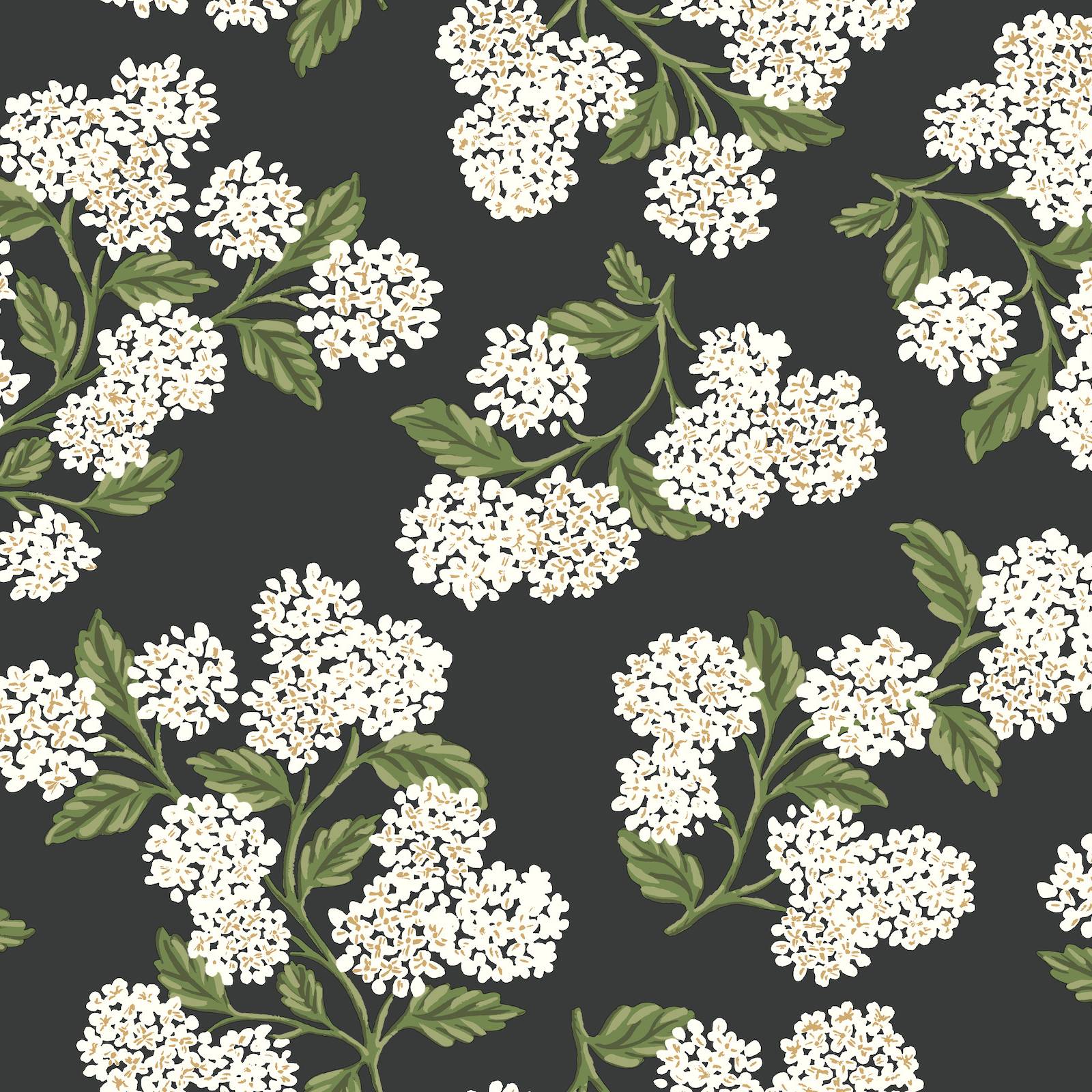 Purchase Psw1618Rl | Rifle Paper Co P+S 4Th Edition, Hydrangea Black & White - York Wallpaper