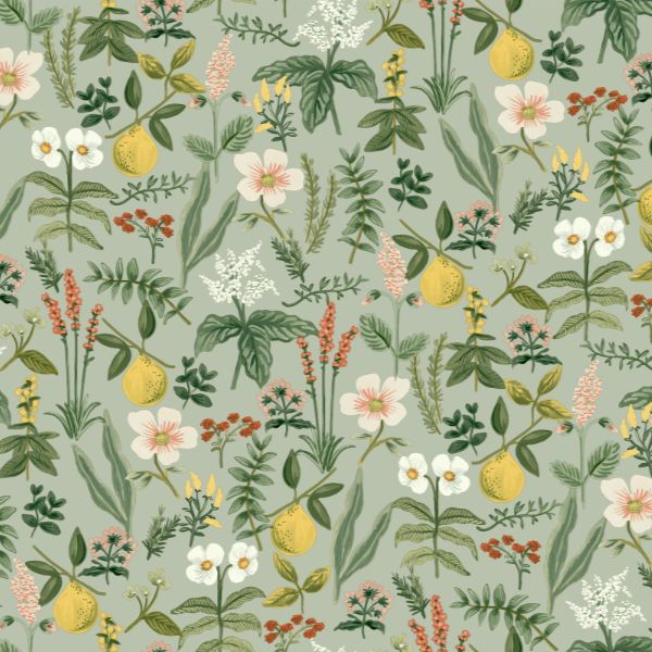 Purchase Psw1675Rl | Rifle Paper Co P+S 5Th Edition, Herb Garden - York Wallpaper