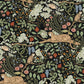 Purchase Psw1680Rl | Rifle Paper Co P+S 5Th Edition, Safari - York Wallpaper