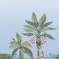 Purchase Psw1710M | Garden Muse Pswp, Tropical Lagoon - York Wallpaper