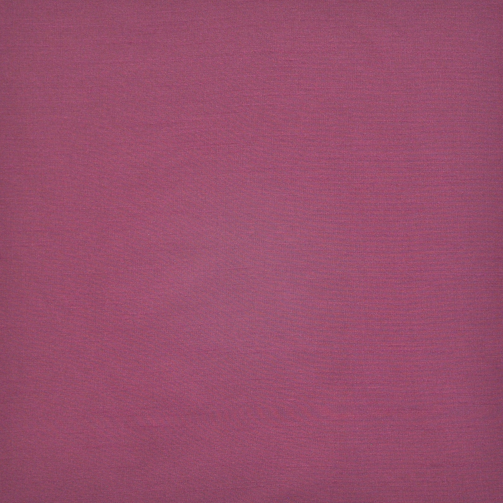 Purchase Maxwell Fabric - Prato, # 519 Dahlia