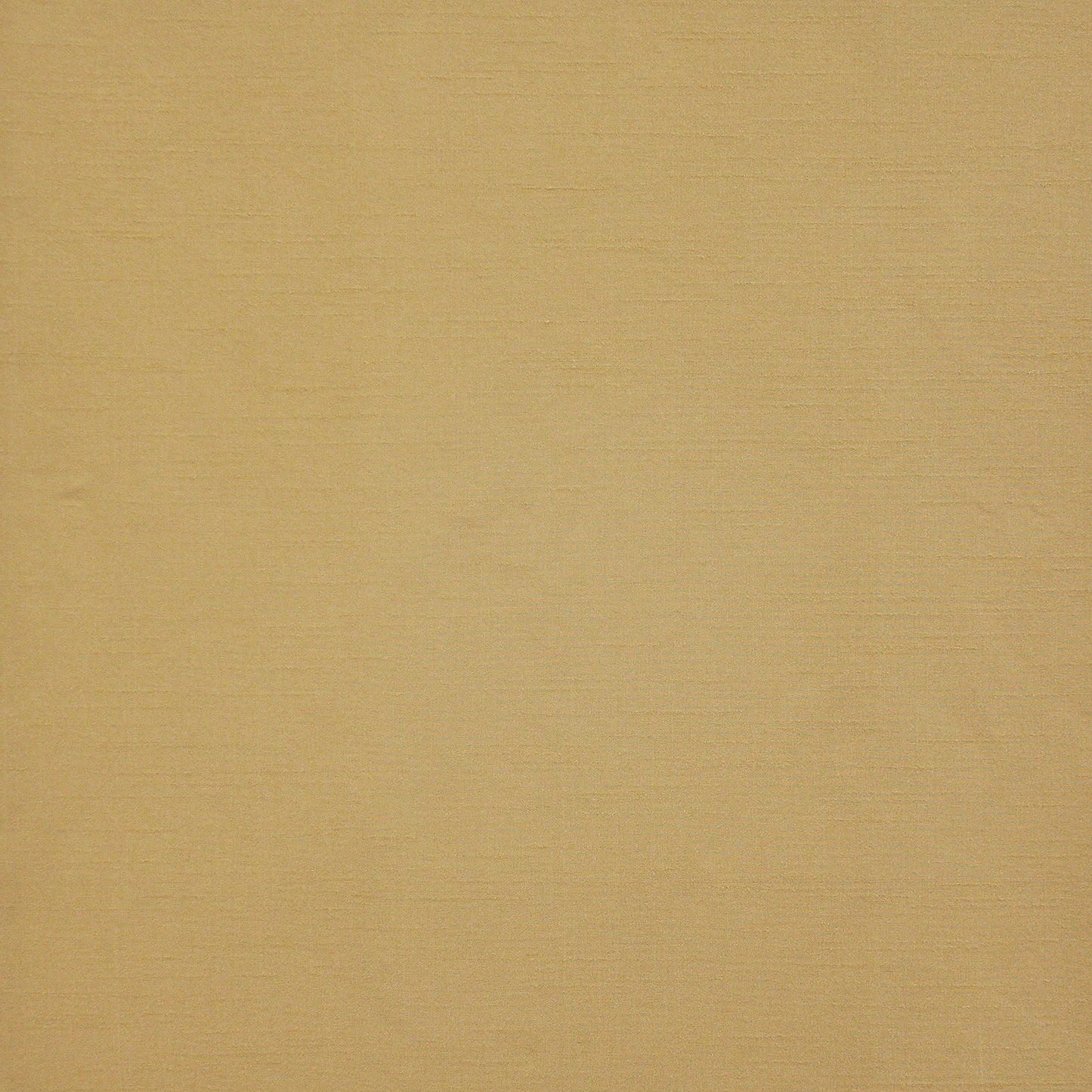 Prato | # 534 Buff - Maxwell Fabric