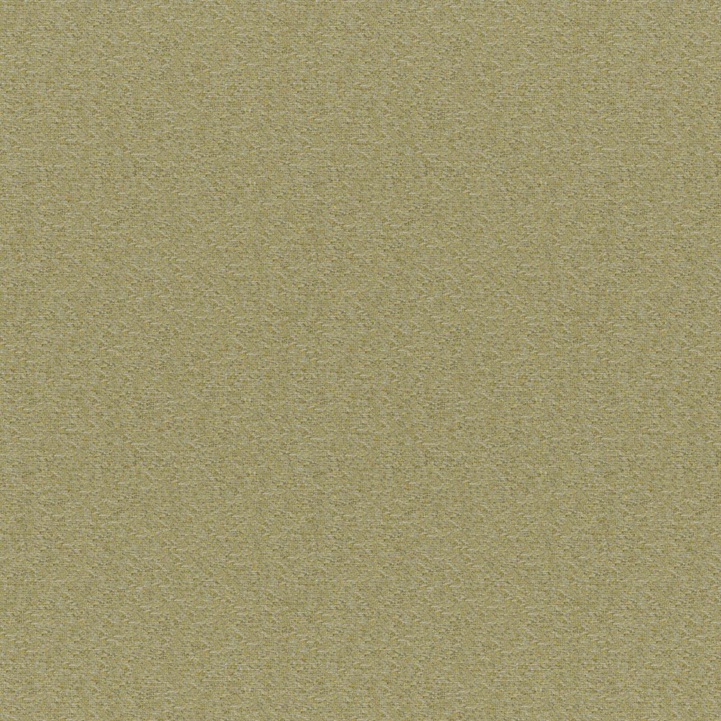 Patagonia | # 840 Lemongrass - Maxwell Fabric