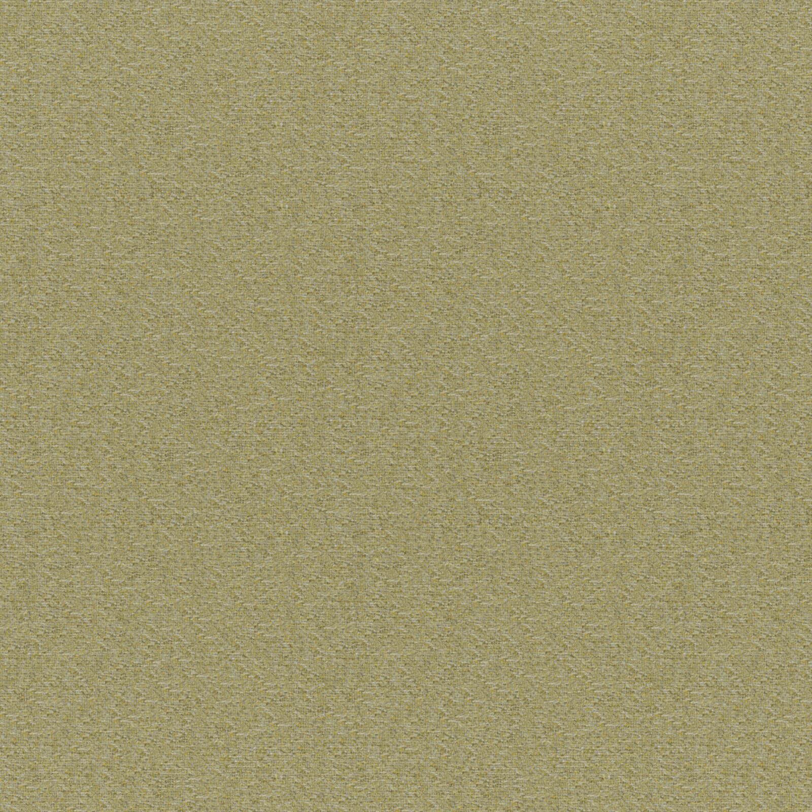 Purchase Maxwell Fabric - Patagonia, # 840 Lemongrass