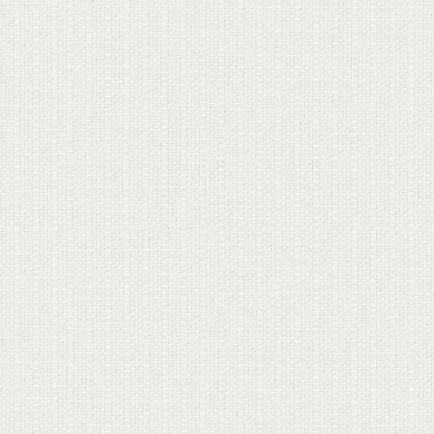 Provost | # 906 Pearl - Maxwell Fabric