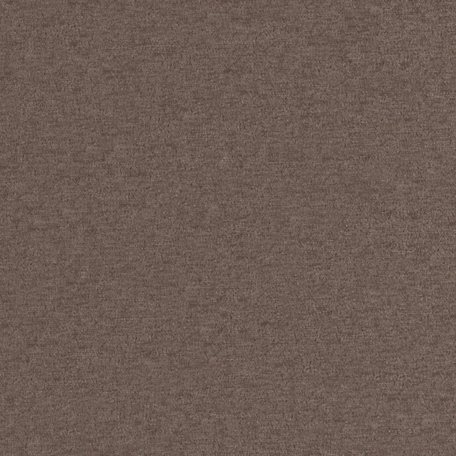 Purchase Maxwell Fabric - Pintura, # 909 Nut