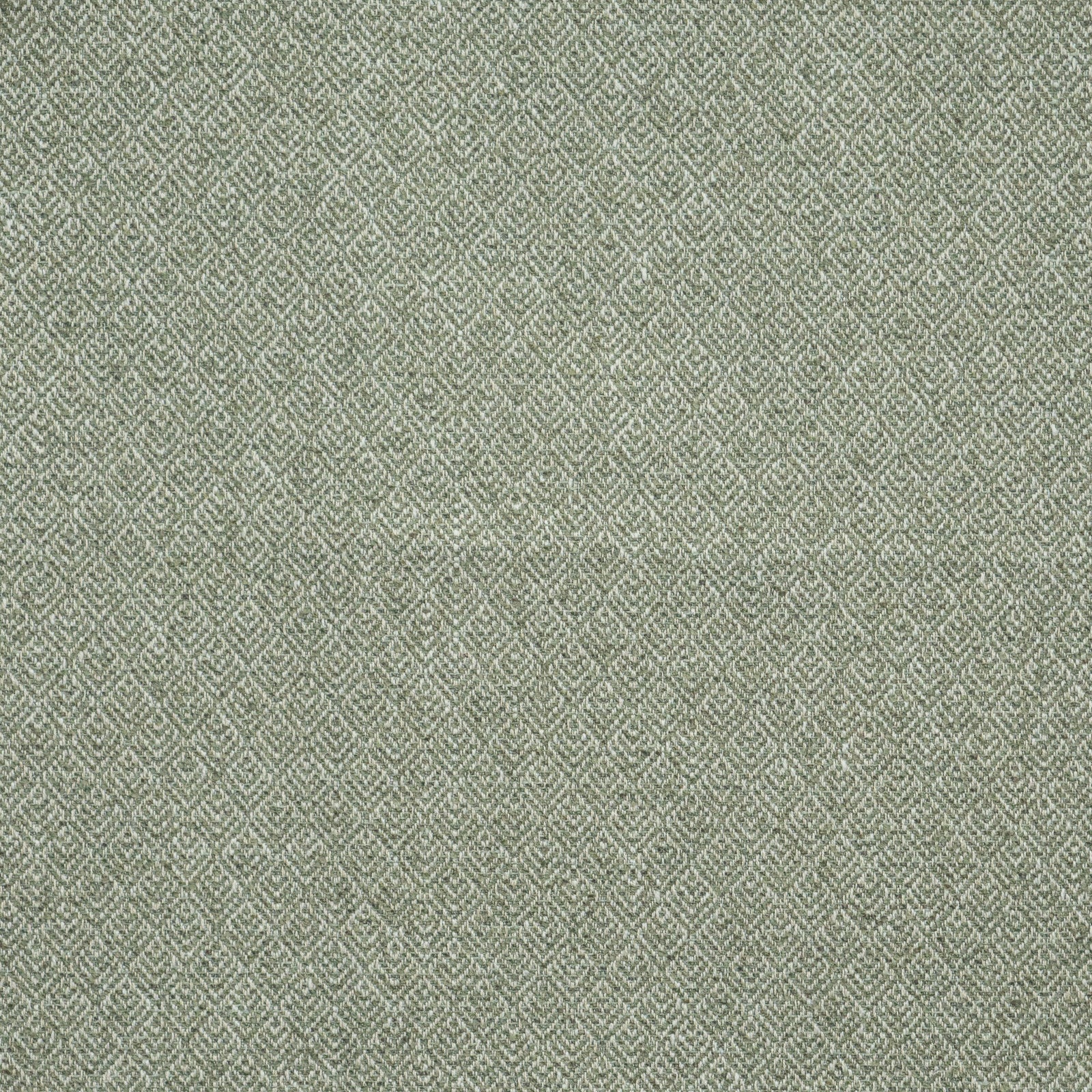 Purchase Maxwell Fabric - Queenswood, # 915 Leaf