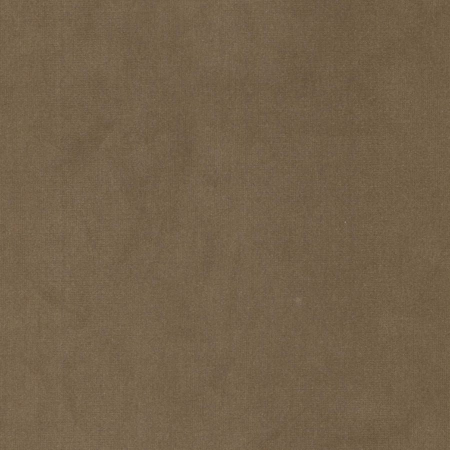 Purchase Stout Fabric Pattern Queen 1 Lion