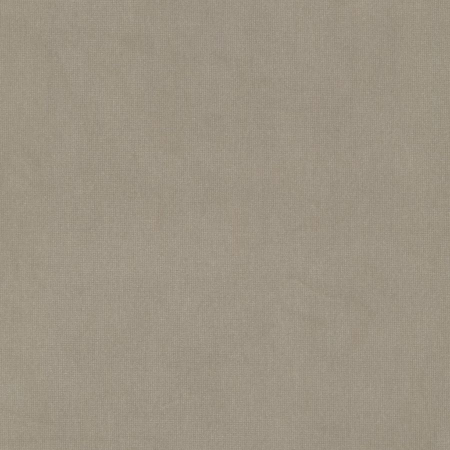 Purchase Stout Fabric Pattern# Queen 23 Beige