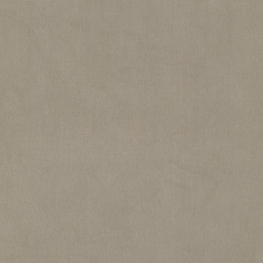 Purchase Stout Fabric Pattern# Queen 23 Beige