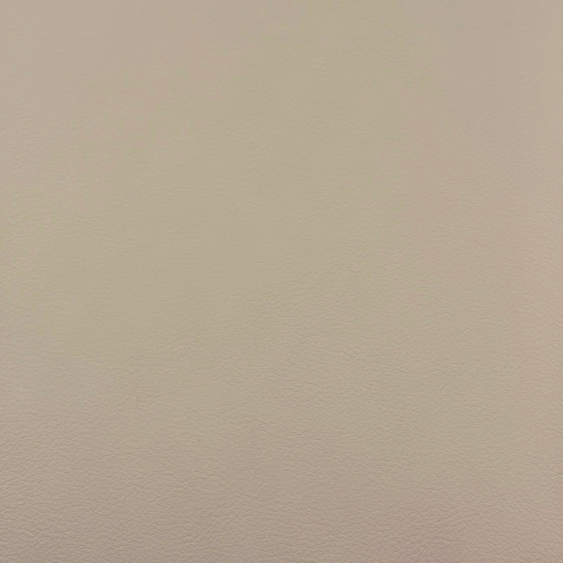 Purchase Mag Fabric Item# 11719 pattern name Quest Mushroom