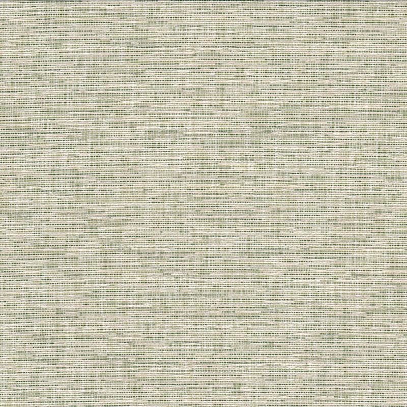 Purchase Stout Fabric Pattern number Record 1 Grass