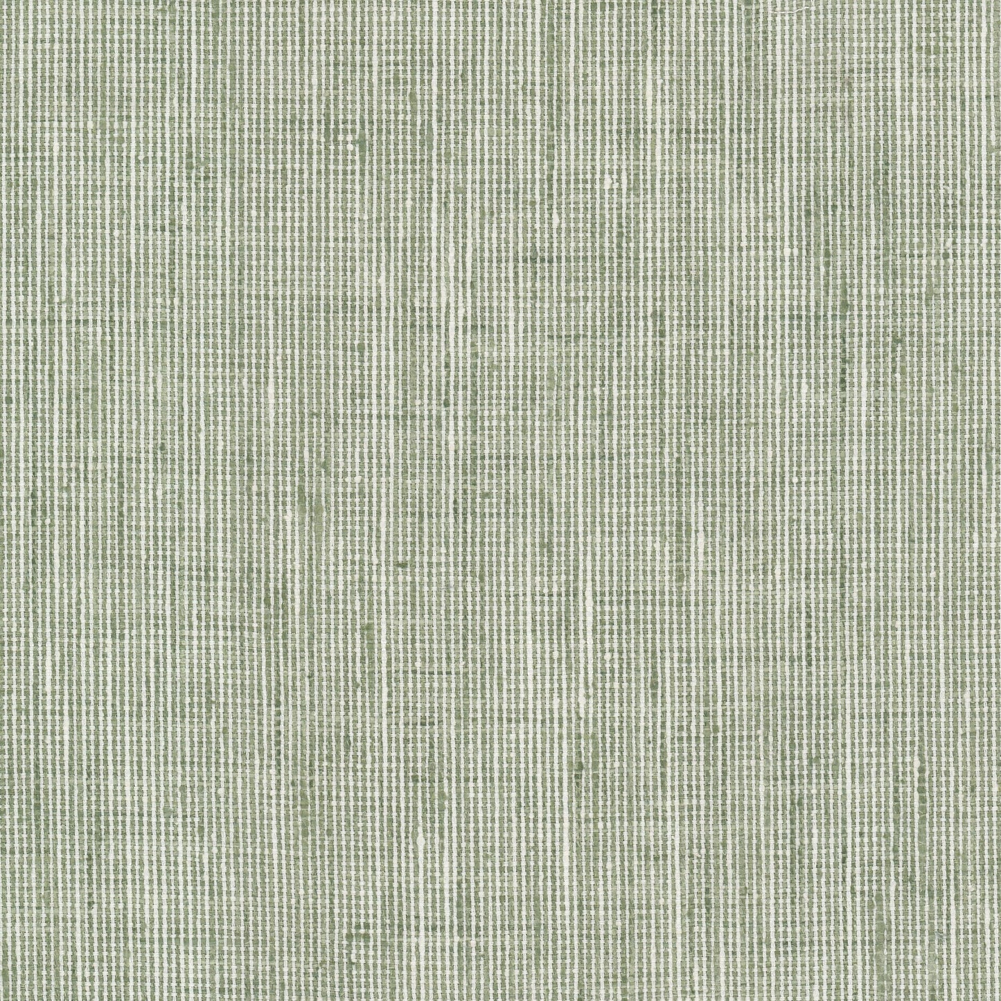 Purchase Stout Fabric SKU Rembrandt 6 Sage