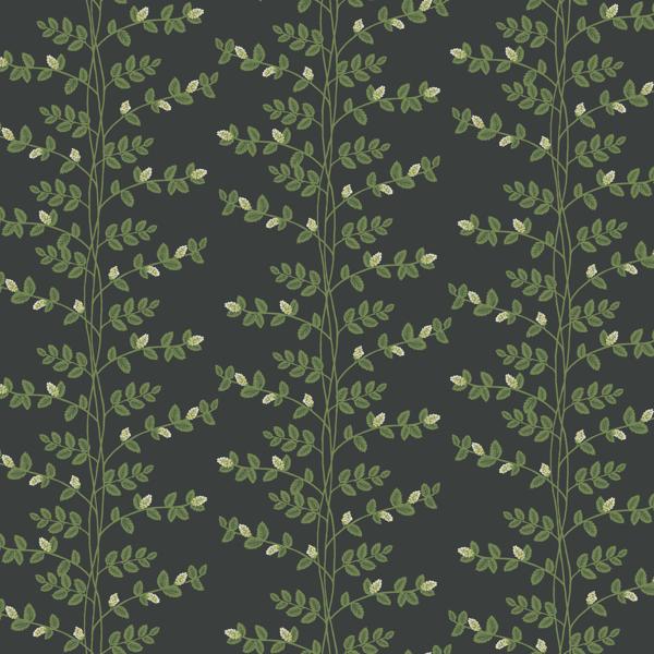 Purchase Rf7422 | Rifle Paper Co. 3Rd Edition, Climbing Vine - York Wallpaper