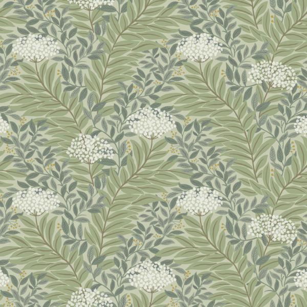 Purchase Rf7503 | Rifle Paper Co. 3Rd Edition, Highgrove - York Wallpaper