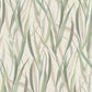 Purchase RH330212 Brewster Wallpaper, Sway Light Green Botanical - Rasch