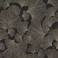 Purchase RH462234 Brewster Wallpaper, Waft Black Ginkgo - Rasch