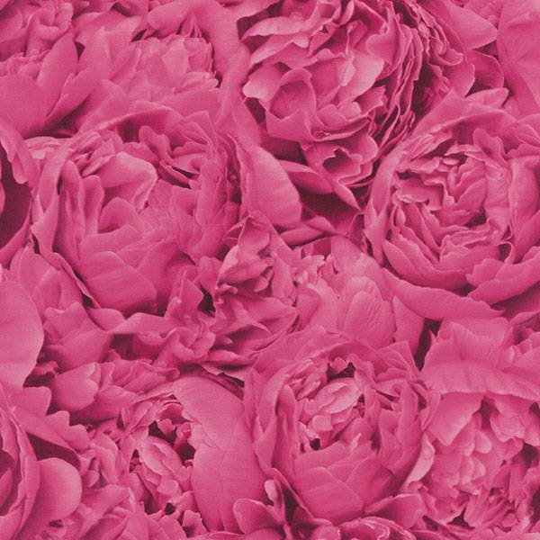 Purchase RH464245 Brewster Wallpaper, Rosenfield Pink Floral - Rasch
