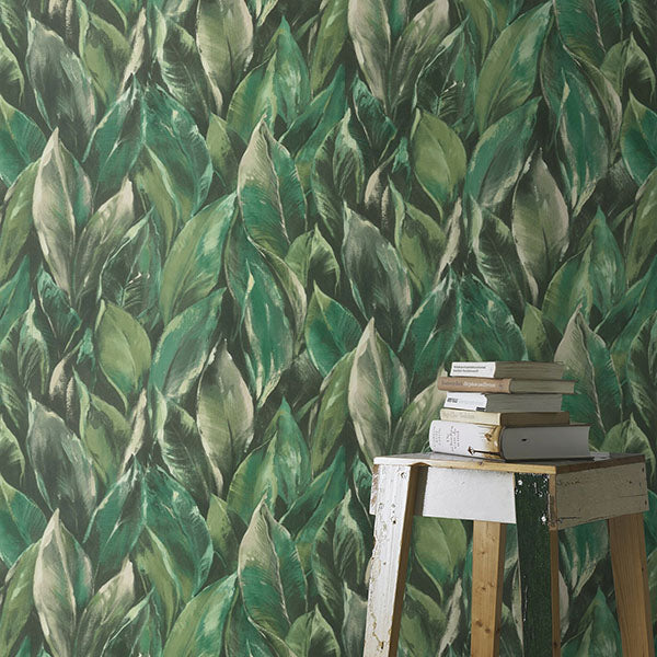 Purchase RH537345 Brewster Wallpaper, Maclayi Green Banana Leaf - Rasch1